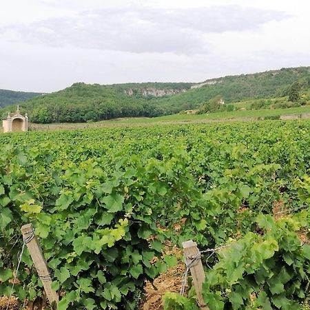 Gite Hautes Cotes De Nuits Curtil-Vergy Exterior photo