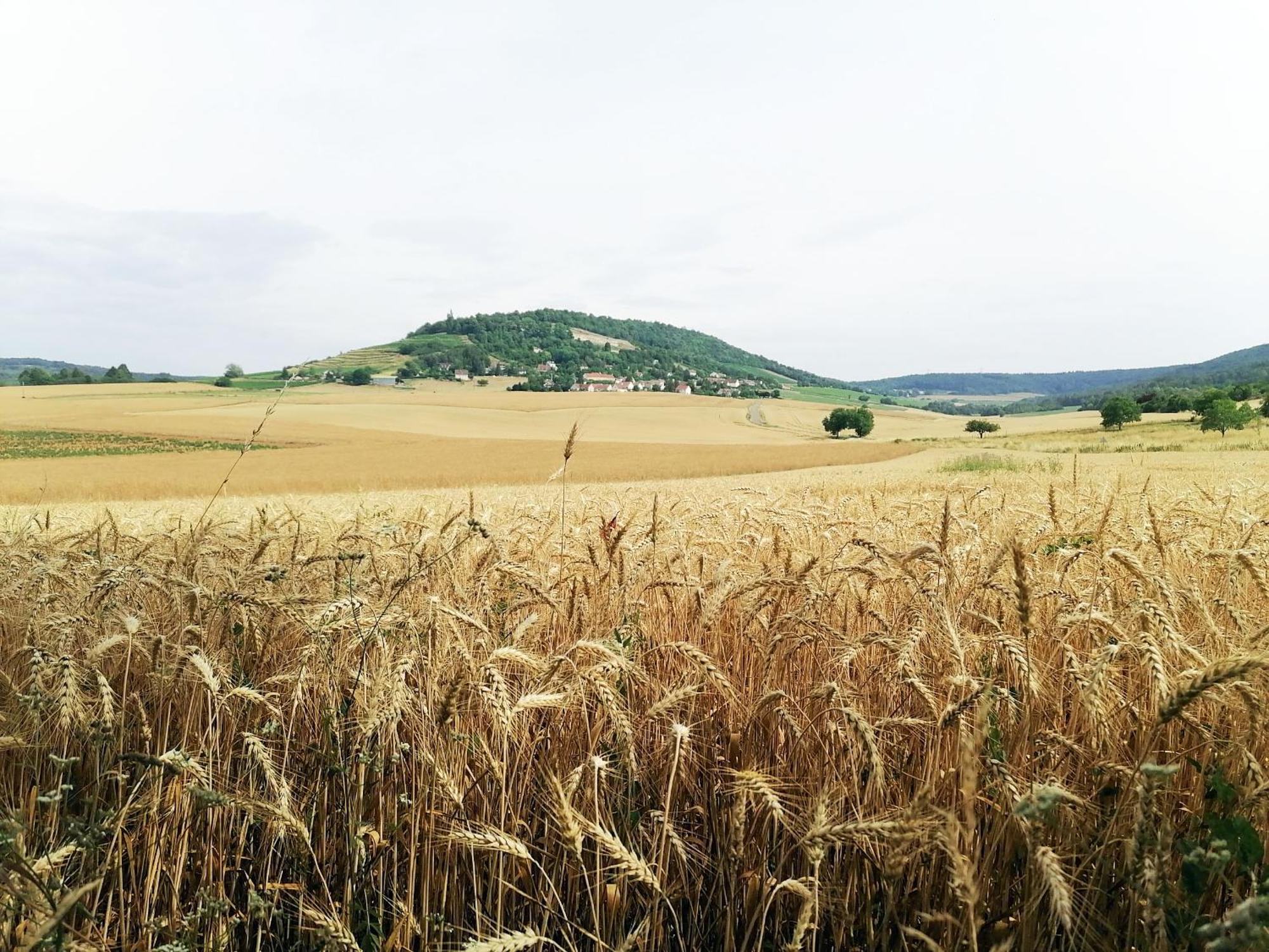 Gite Hautes Cotes De Nuits Curtil-Vergy Exterior photo